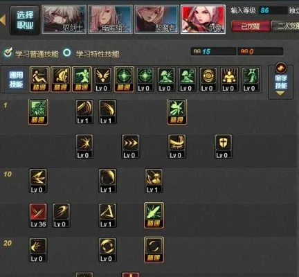 DNF流浪武士刷图加点详细指南