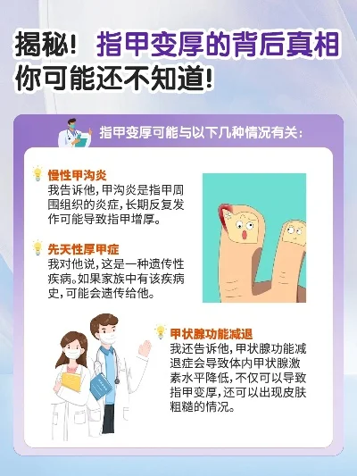 2025年硬甲皮和厚皮哪里多　硬甲皮价格